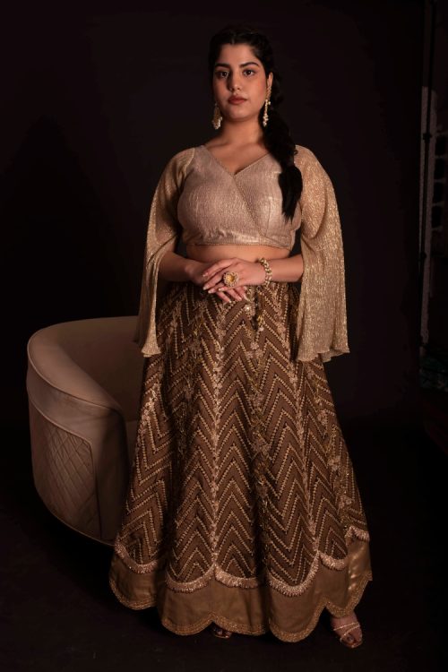 Women’s Semi-stitched Net Heavy Multi Embroidered Lehenga Choli